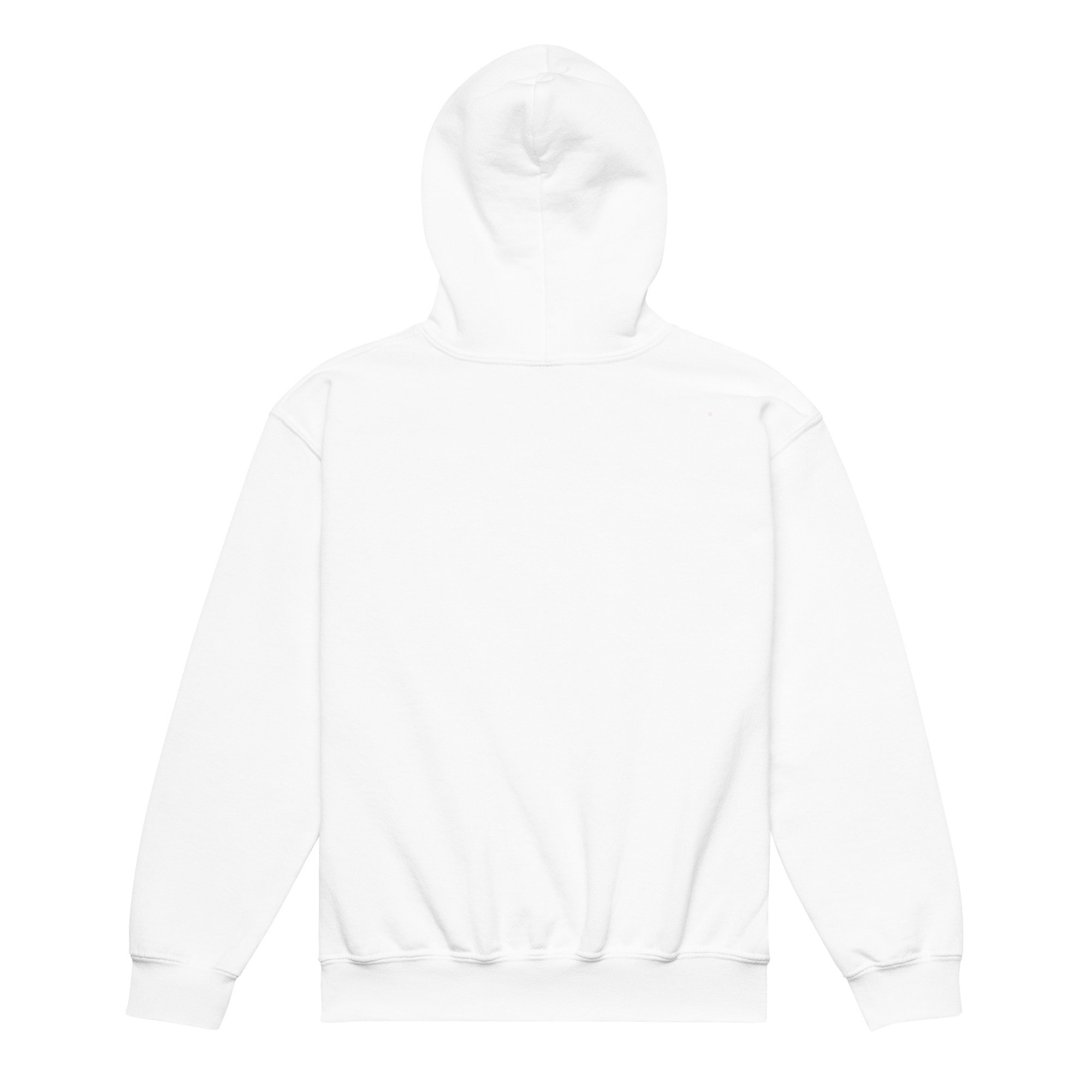Sudadera gruesa con capucha para niño | Gildan 18500B Espalda - Imagen 5